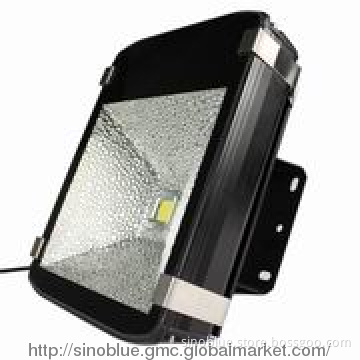 LED Floodlight,100w  meanwell driver